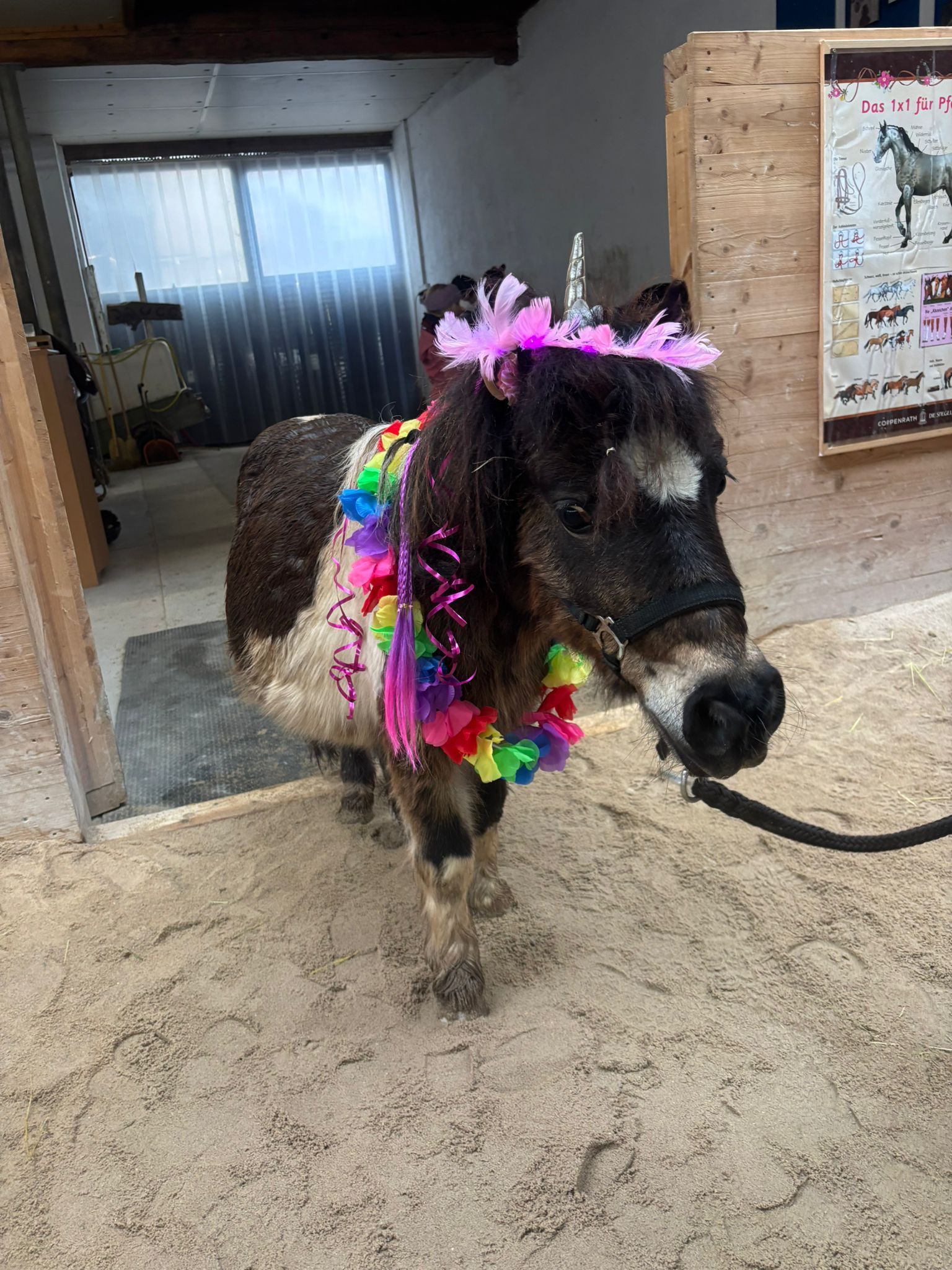 Als Sinnbild für unser Kontaktformular sieht man ein Tastentelefon auf desssen Anzeigefläche steht Als Sinnbild für unser Kontaktformular sieht man ein Tastentelefon auf desssen Anzeigefläche steht