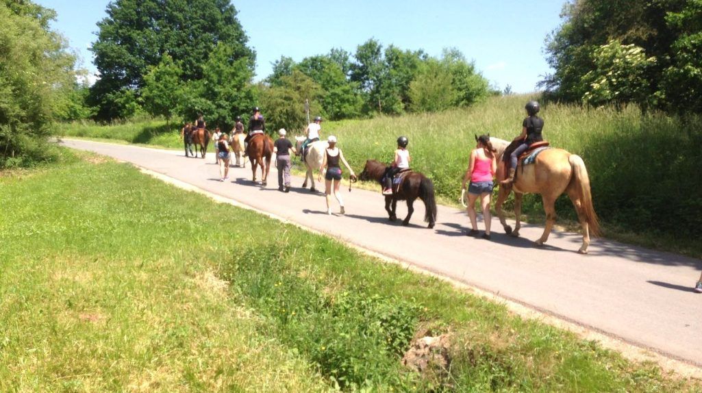 An einem sonnigen Tag reitet eine Reitergruppe von 10-12 Teilnehmern von Egersdorf Richtung Cadolzburg An einem sonnigen Tag reitet eine Reitergruppe von 10-12 Teilnehmern von Egersdorf Richtung Cadolzburg