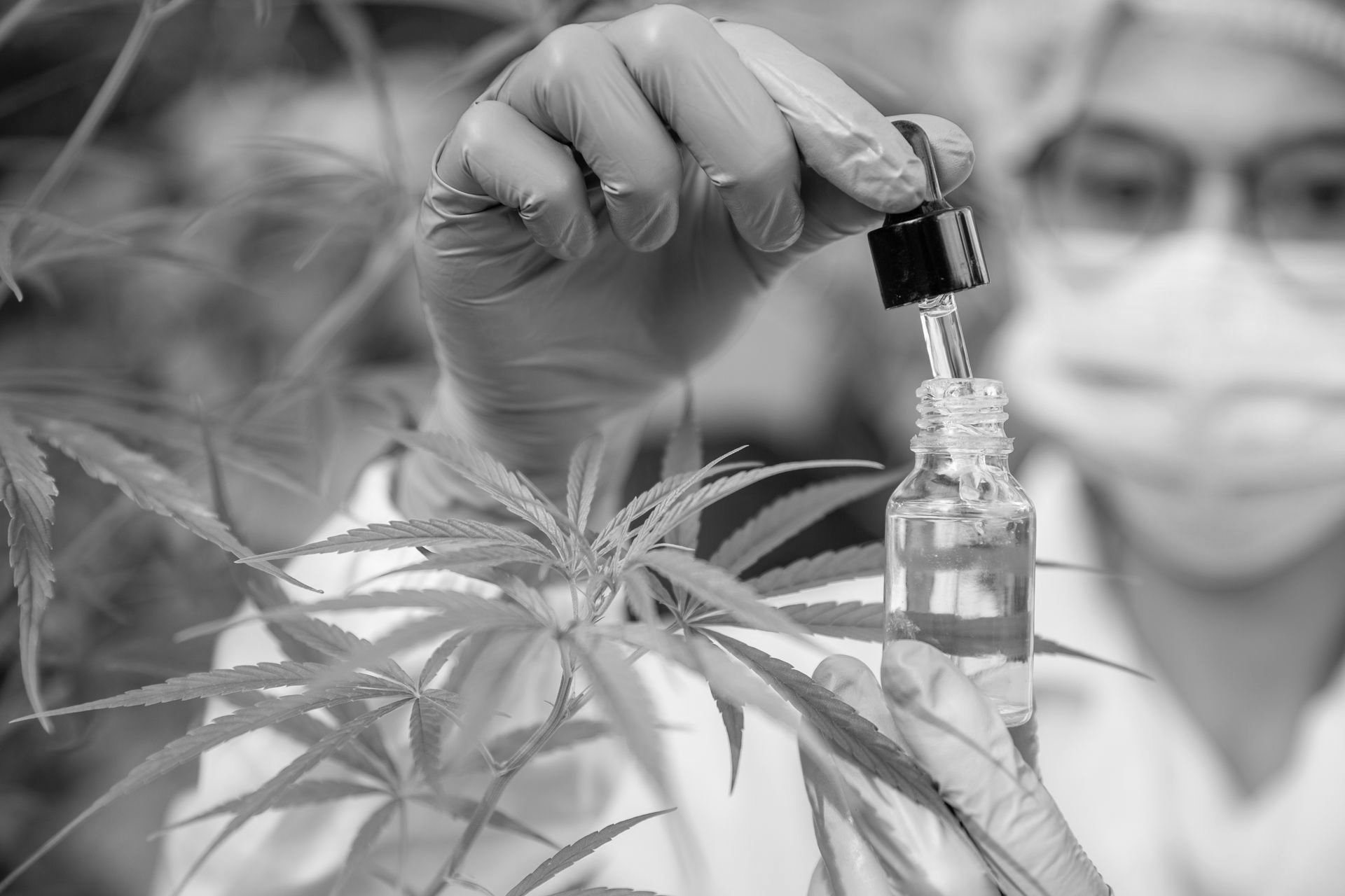 Filtration Cannabis Öl Filtra