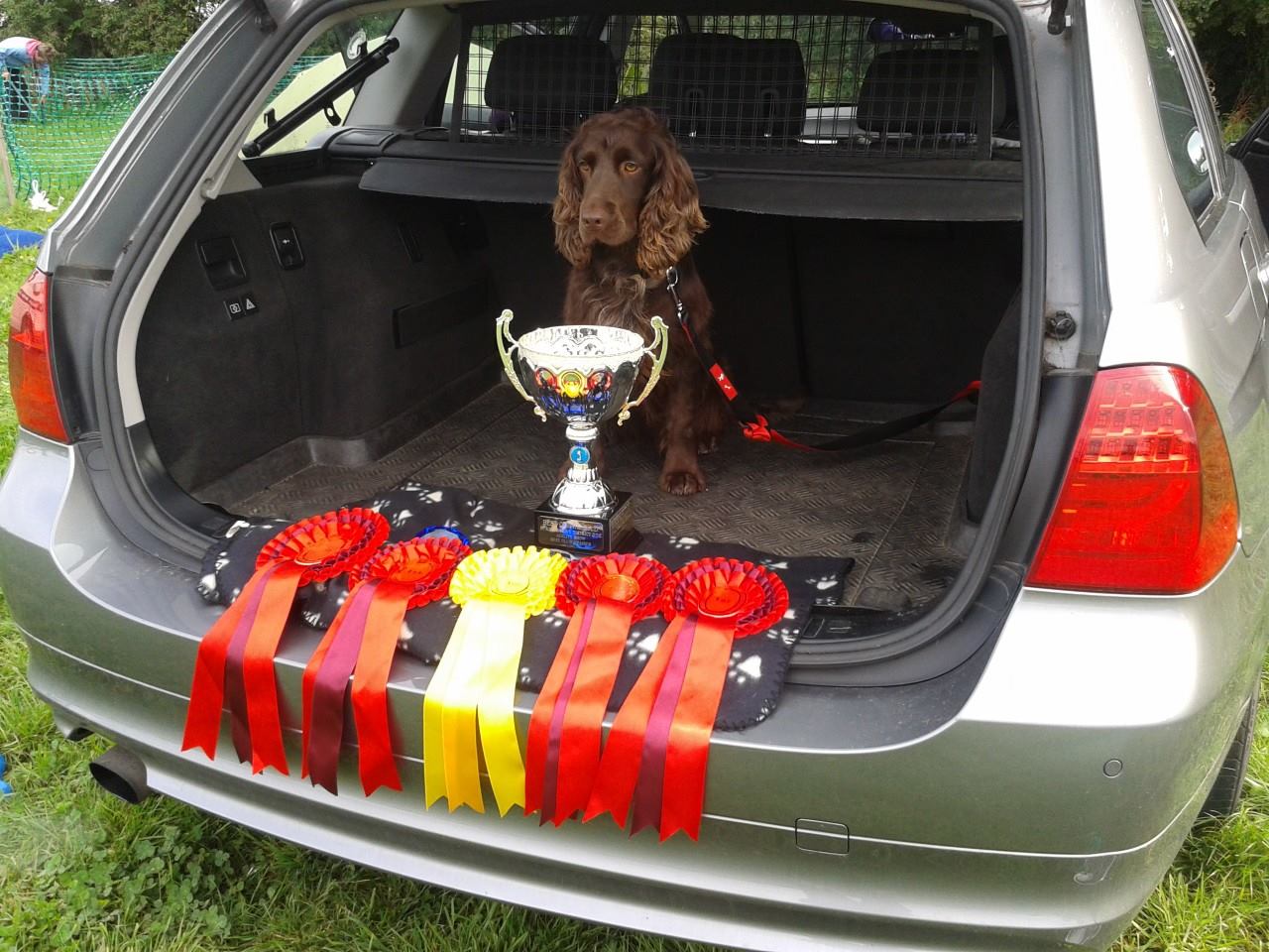 Diana Knight posted photo in BDDTC Diana Knight posted photo in BDDTC