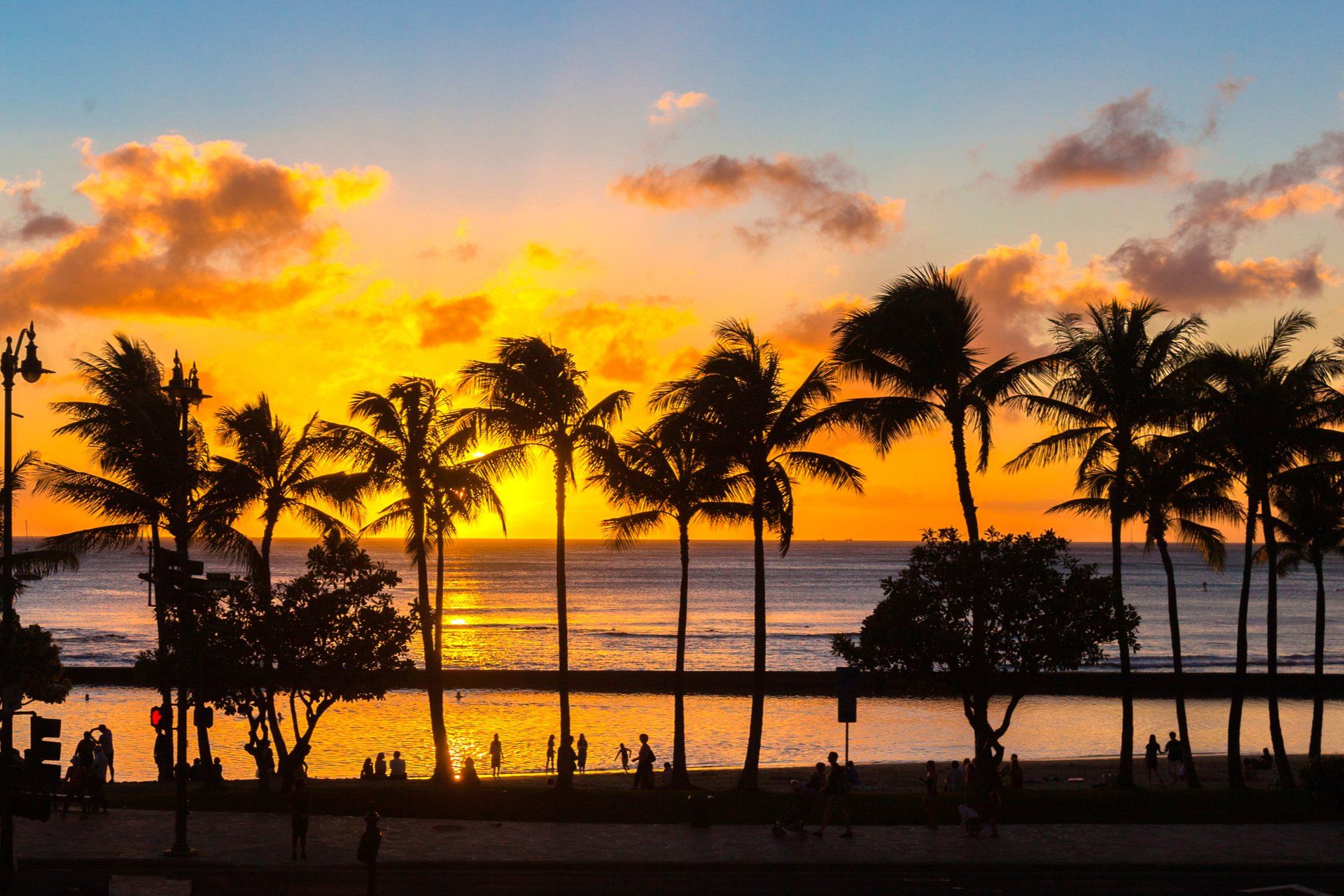 Hawaii Island Landscape