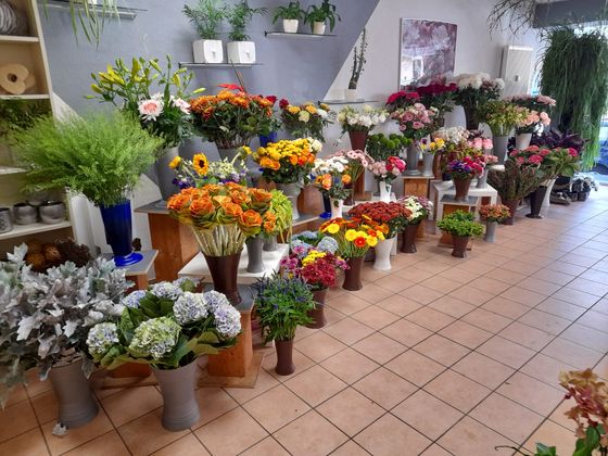 Innenbereich PassiFlora Groß-Umstadt Sortimentsauswahl Innenbereich PassiFlora Groß-Umstadt mit Sortimentsauszug