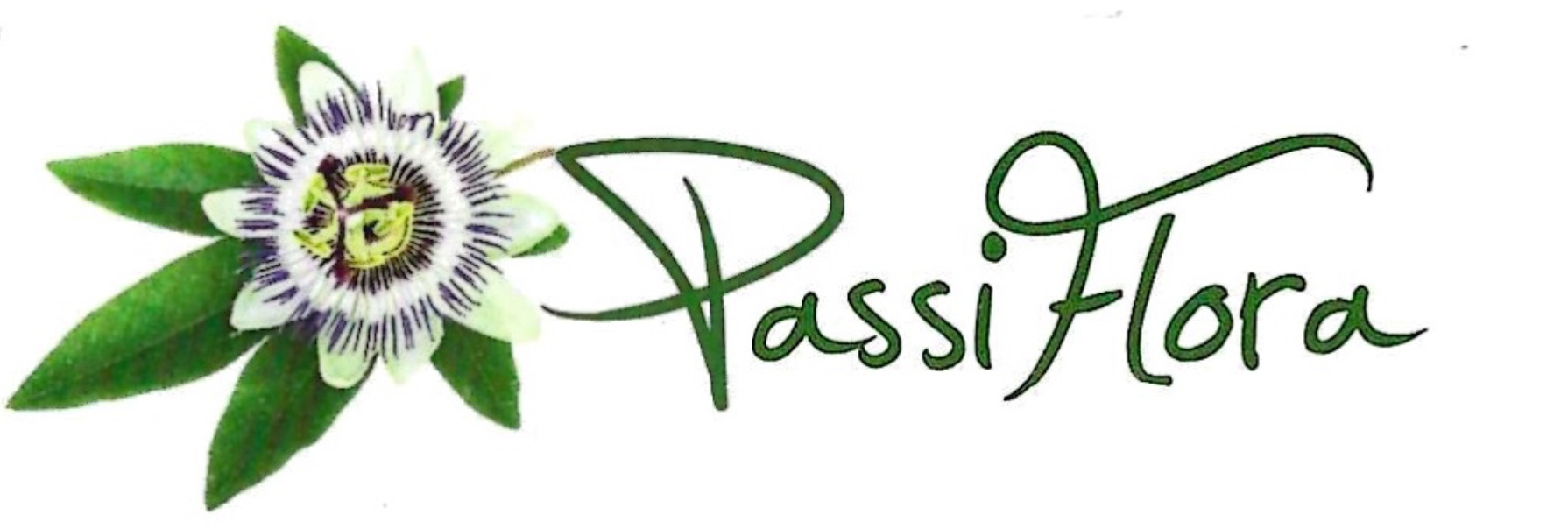 Logo PassiFlora Groß-Umstadt Logo PassiFlora Groß-Umstadt