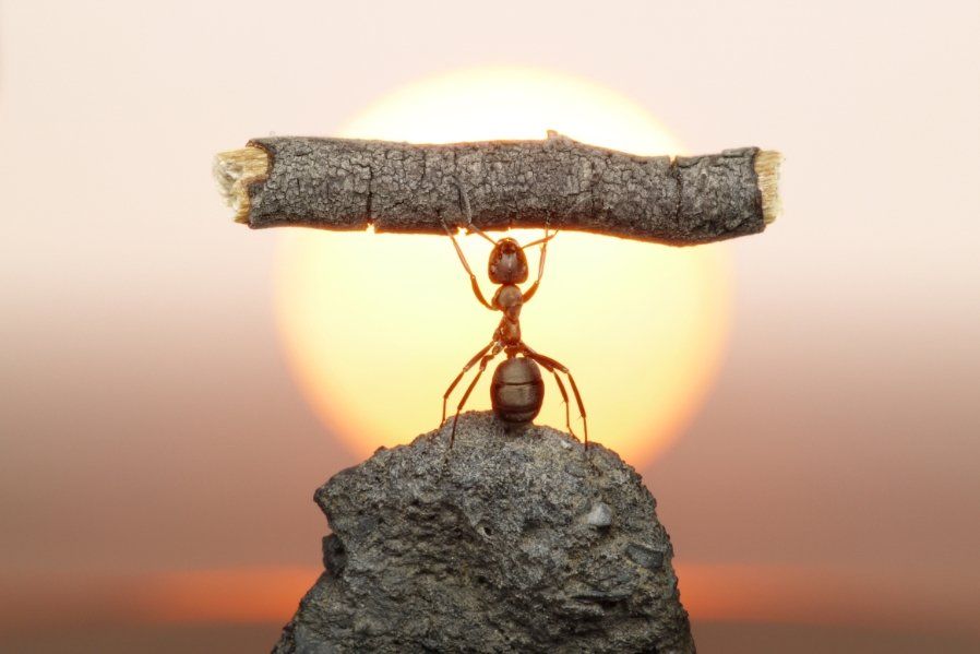 Erlebnisseminar - Präsenz erleben Erlebnisseminar - Präsenz erleben