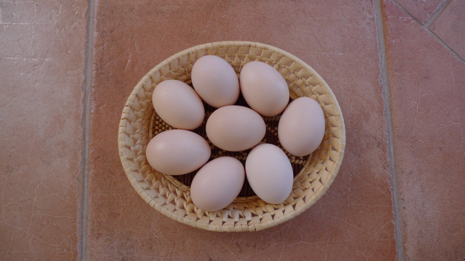 Bressehuhn Eier