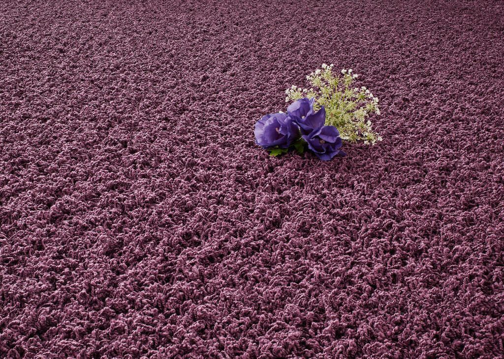 Teppich Beispiele 
fichtner raumausstatter brandis wohnideen wohnstoffe sonnenschutz boden tapeten bodenbelag fenstervorhänge wandgestaltung polster