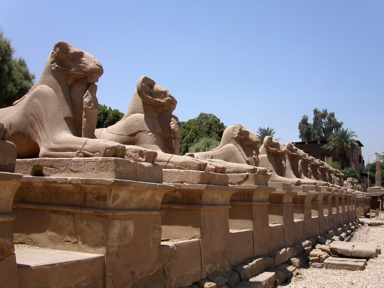 Temple de Louxor, Croisière sur le Nil, Tombeau, valle des Rois, Vallée des reines,