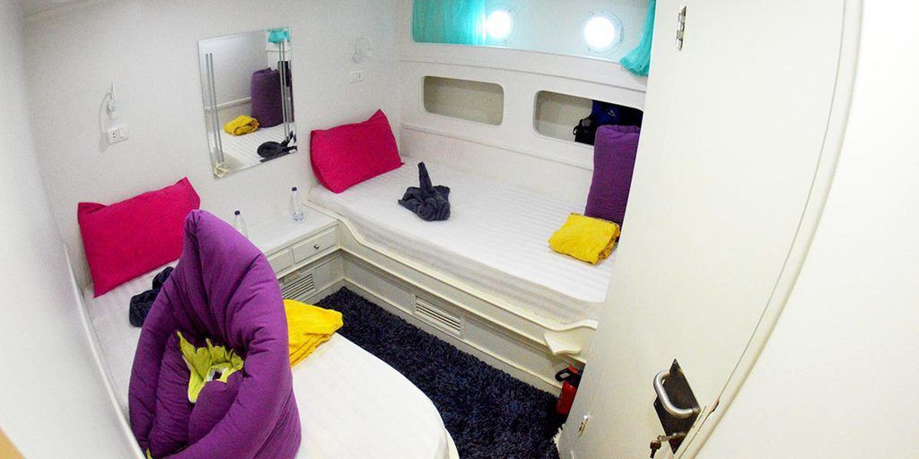 Plongée mer rouge Egypte, voyage Egypte mer rouge, Red Sea Egypte, Egypt Nile Cruises, Nile Aviation, Agence de voyage Egypte, Agence de voyage France, bateau plongée Deluxe,