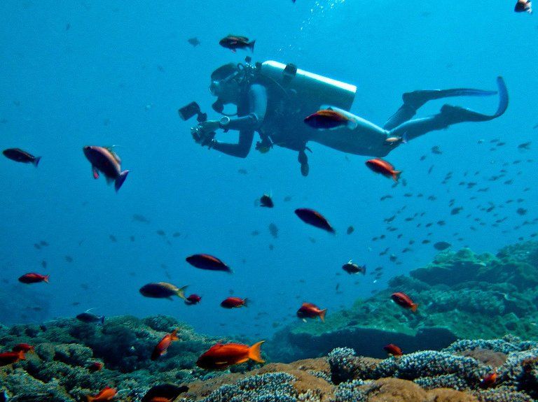 red sea egypt, cruise on the red sea, french travel agency, travel agency egypt, egypt nile cruises,  diving red sea, hurghada, cruise red sea,