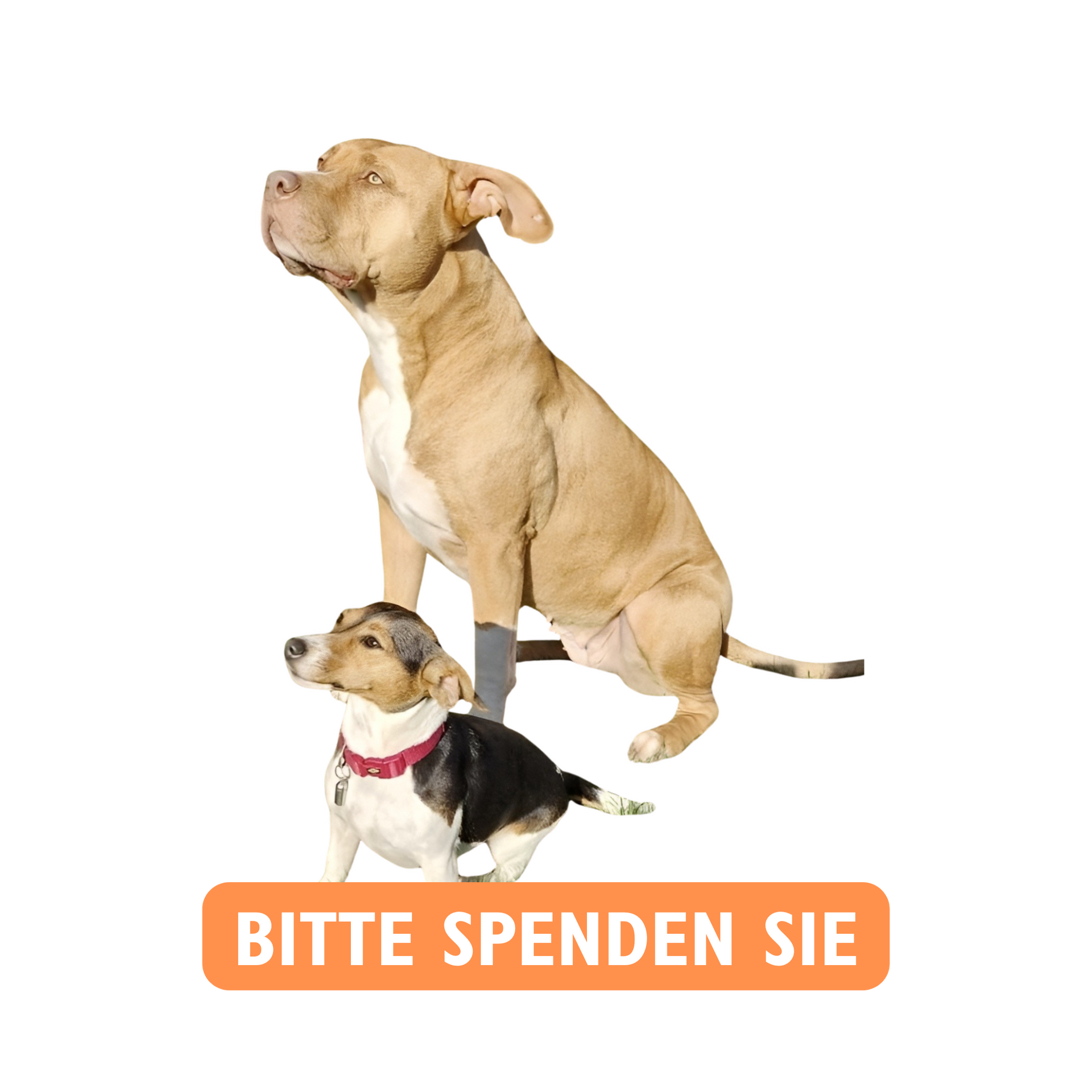 Bitte Spenden Sie