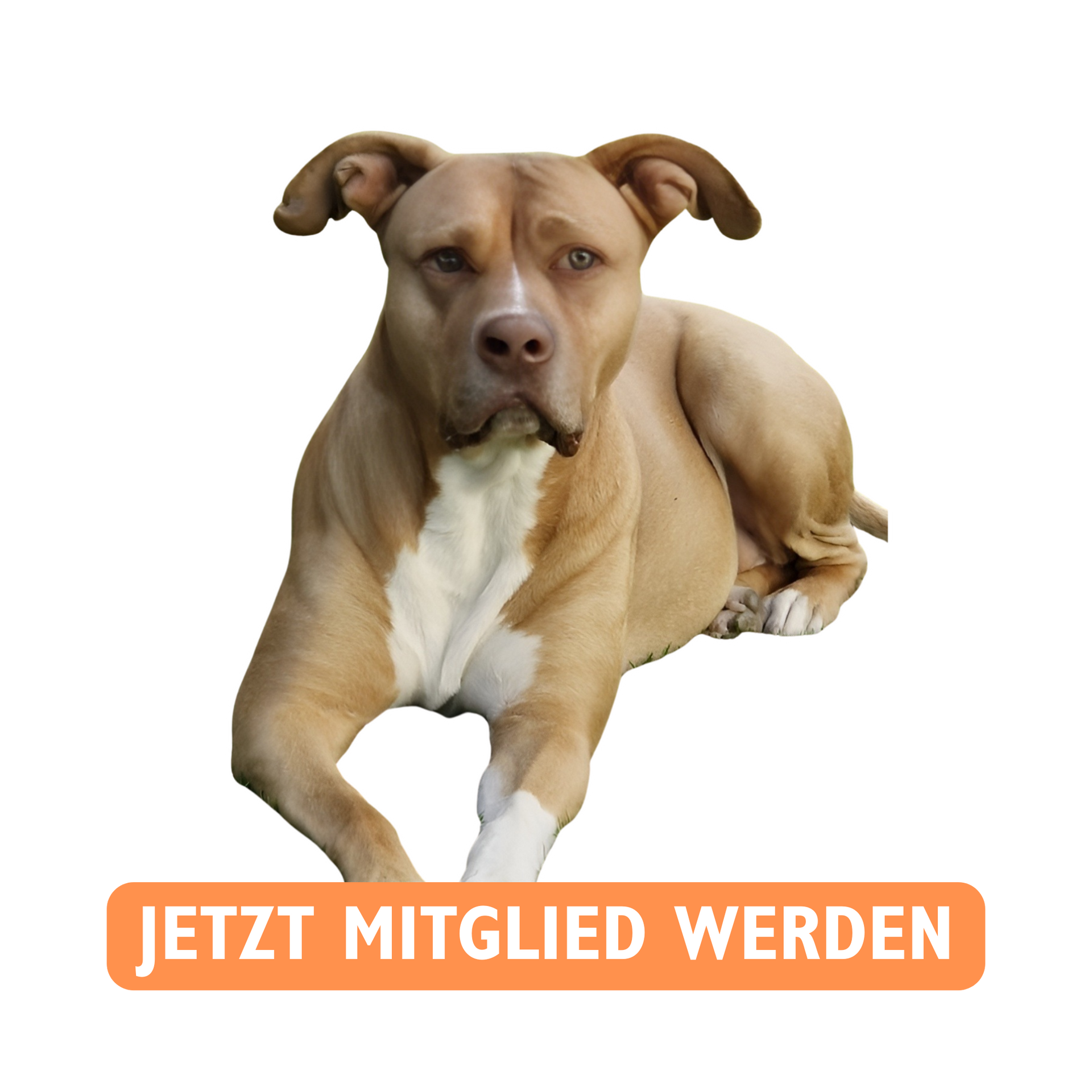 Jetzt Mitglied werden