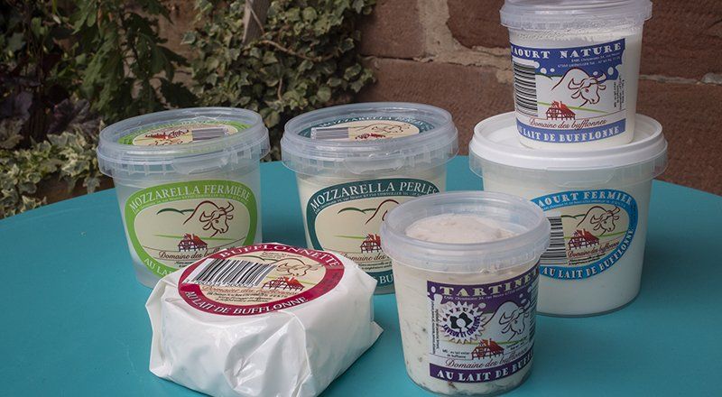 Elevage, visite, dégustation, achat