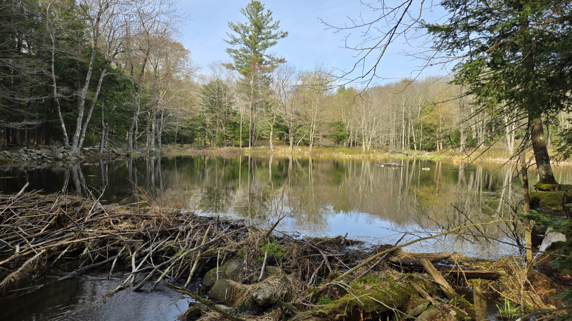 Poke-O-Moonshine Mountain in the Adirondacks