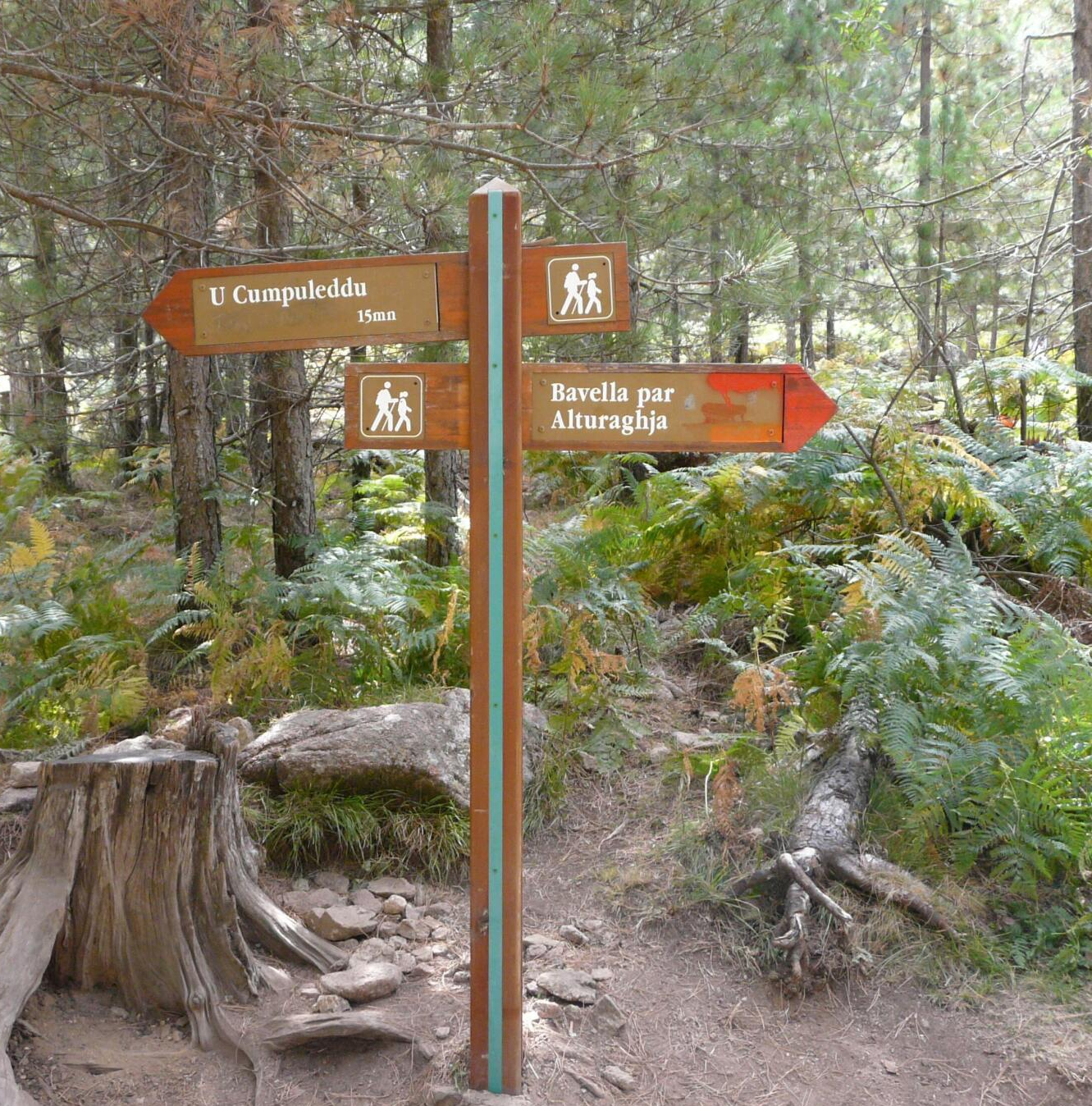 Moderation, Seminare, Workshop