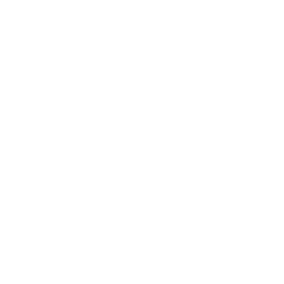 lunettes