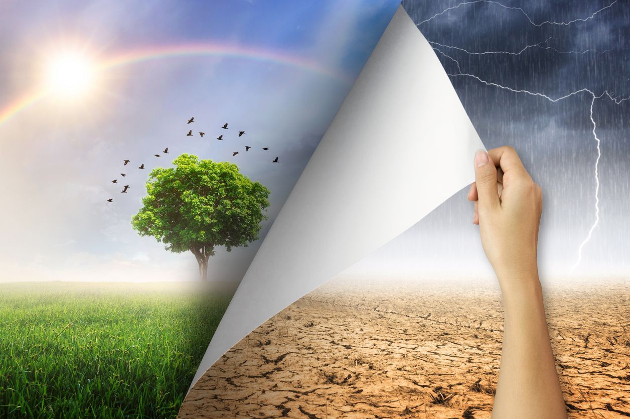 Persönlichkeitsentwicklung Coaching Workshop, Selbstfindung und Lebensgestaltung, Mental stark und s