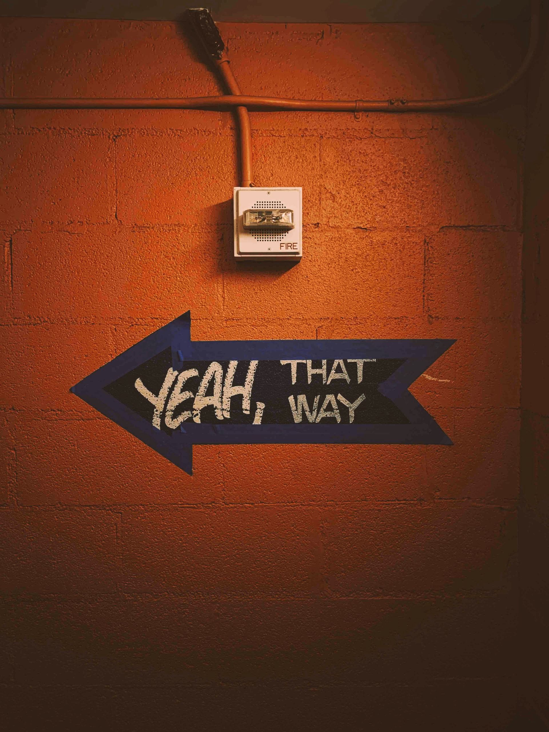 Training von Harro Engelmann - Wissensmanagement in Organisationen