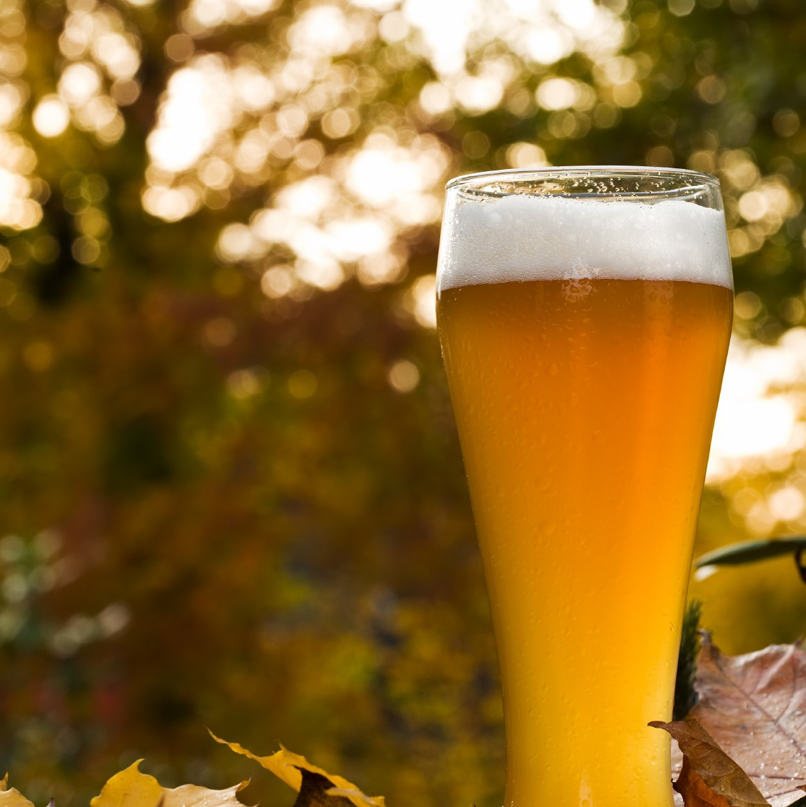 Ein schöne Erfrischung mit einem kühlen Weißbier auf unserer Rennrad-Tour