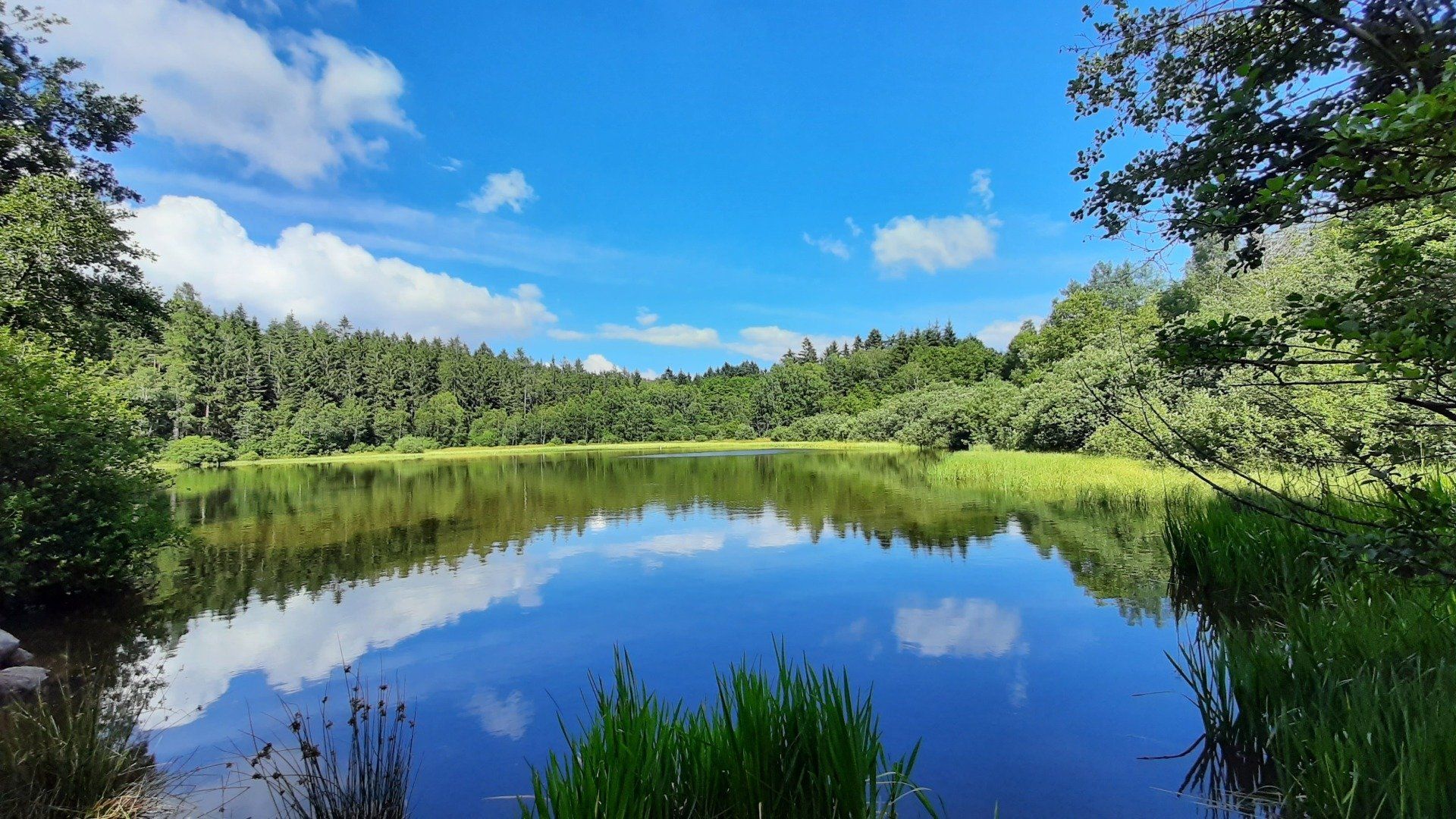 Wanderung im Odenwald