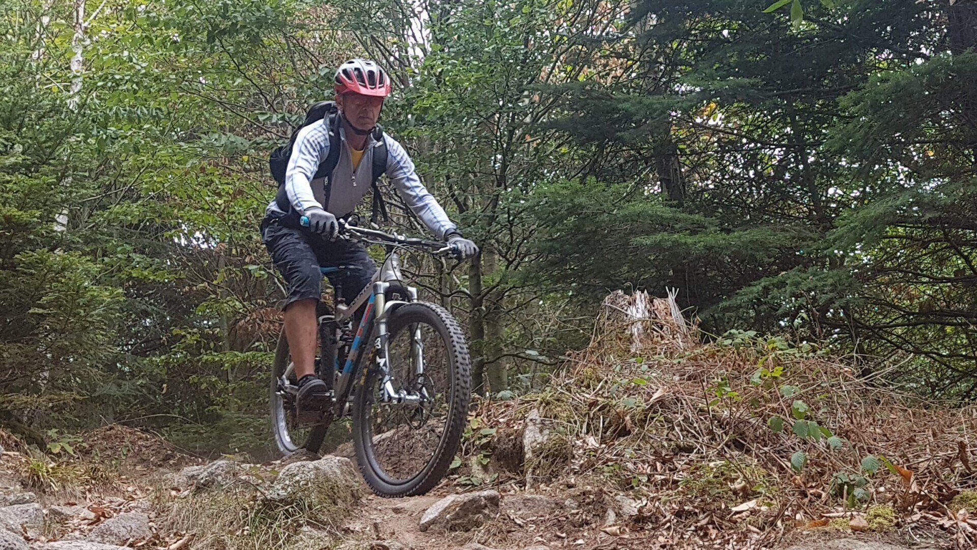 Klaus Friedrich, Guide Willems on tour