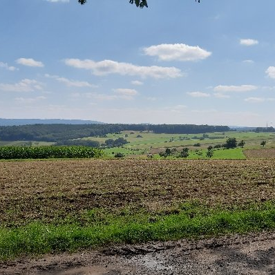 Panorama Michelstadt