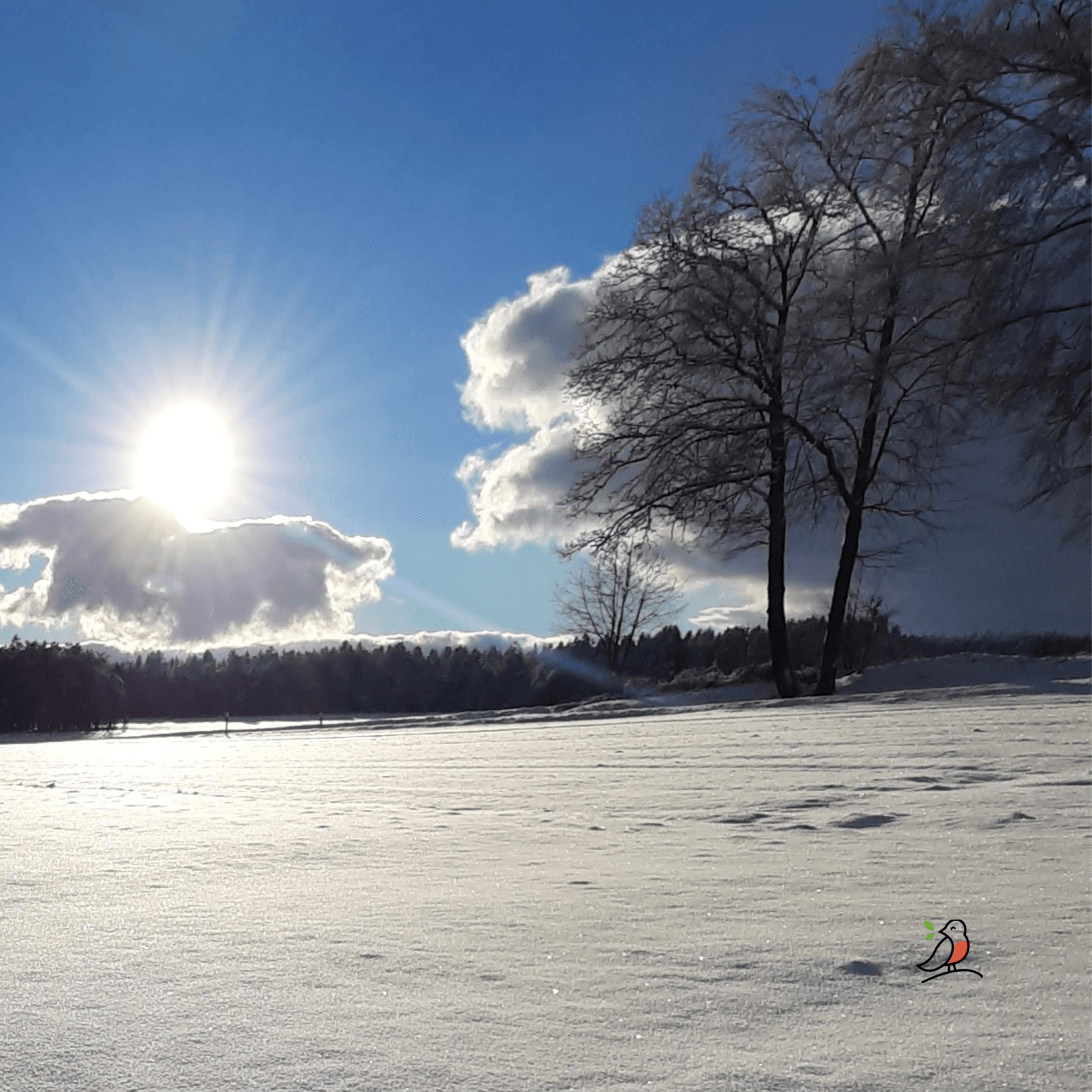 Langlauf im Odenwald