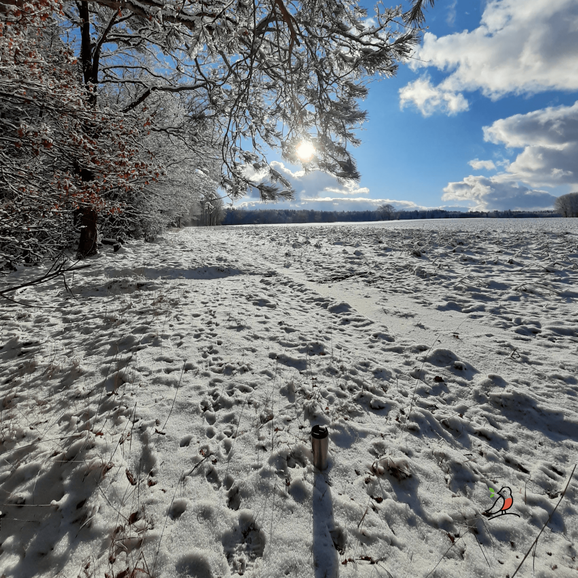Langlauf rund um Würzberg im Odenwald