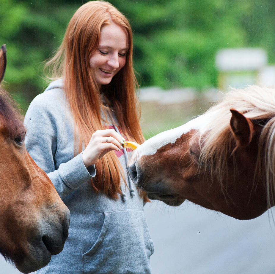 Erlebnistag mit Pferden - ein erstes Kennenlernen