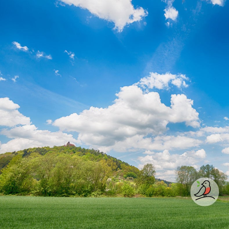 Sehenswert: Burg Breuberg im Odenwald