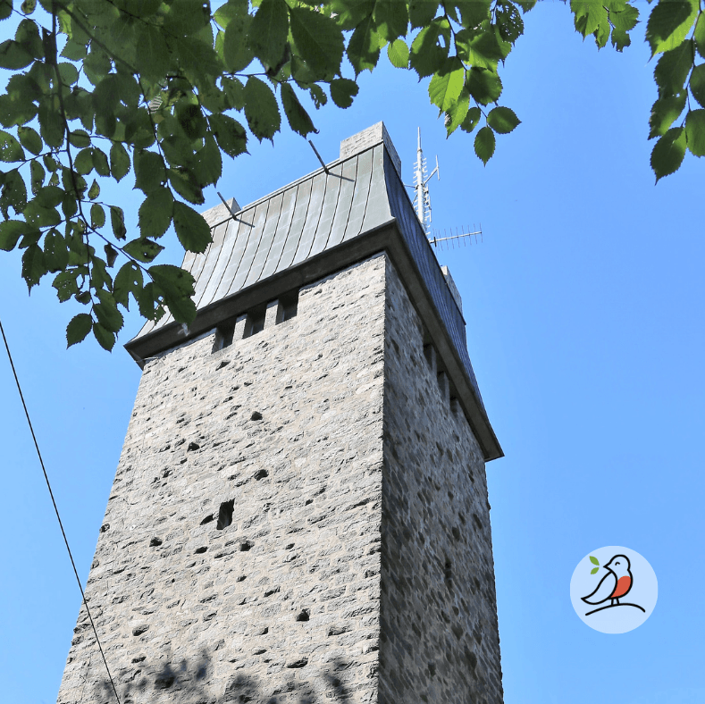 Neunkirchner Höhe, Kaiserturm