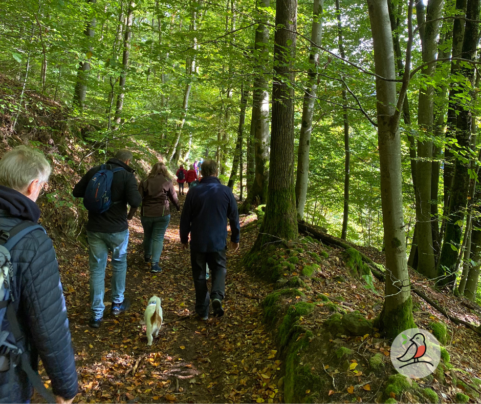 Odenwald Wanderung zur Heinstermühle