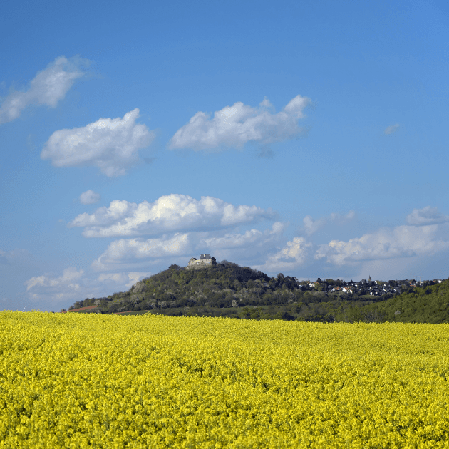 Sehenswert: die Veste Otzberg