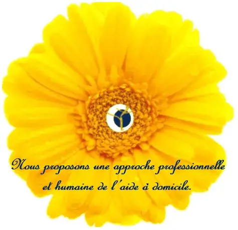 Approche professionnelle et humaine de l'aide à domicile