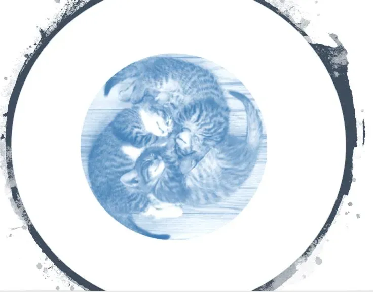 zoothérapie -thérapie assistée par l'animal