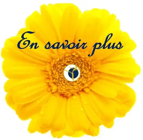 Contact Actiomservice