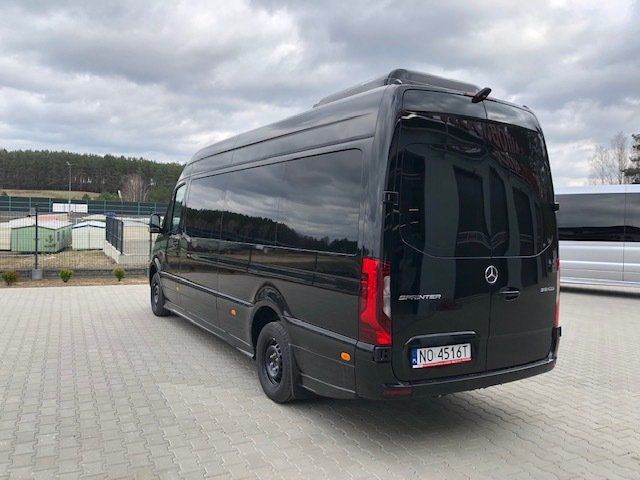 Die Sprinterausführung 319 bietet genug Platz für Fahrgäste und Gepäck