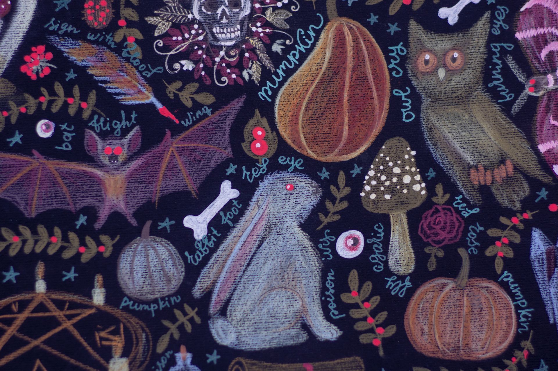 sorcellerie et magie plantes