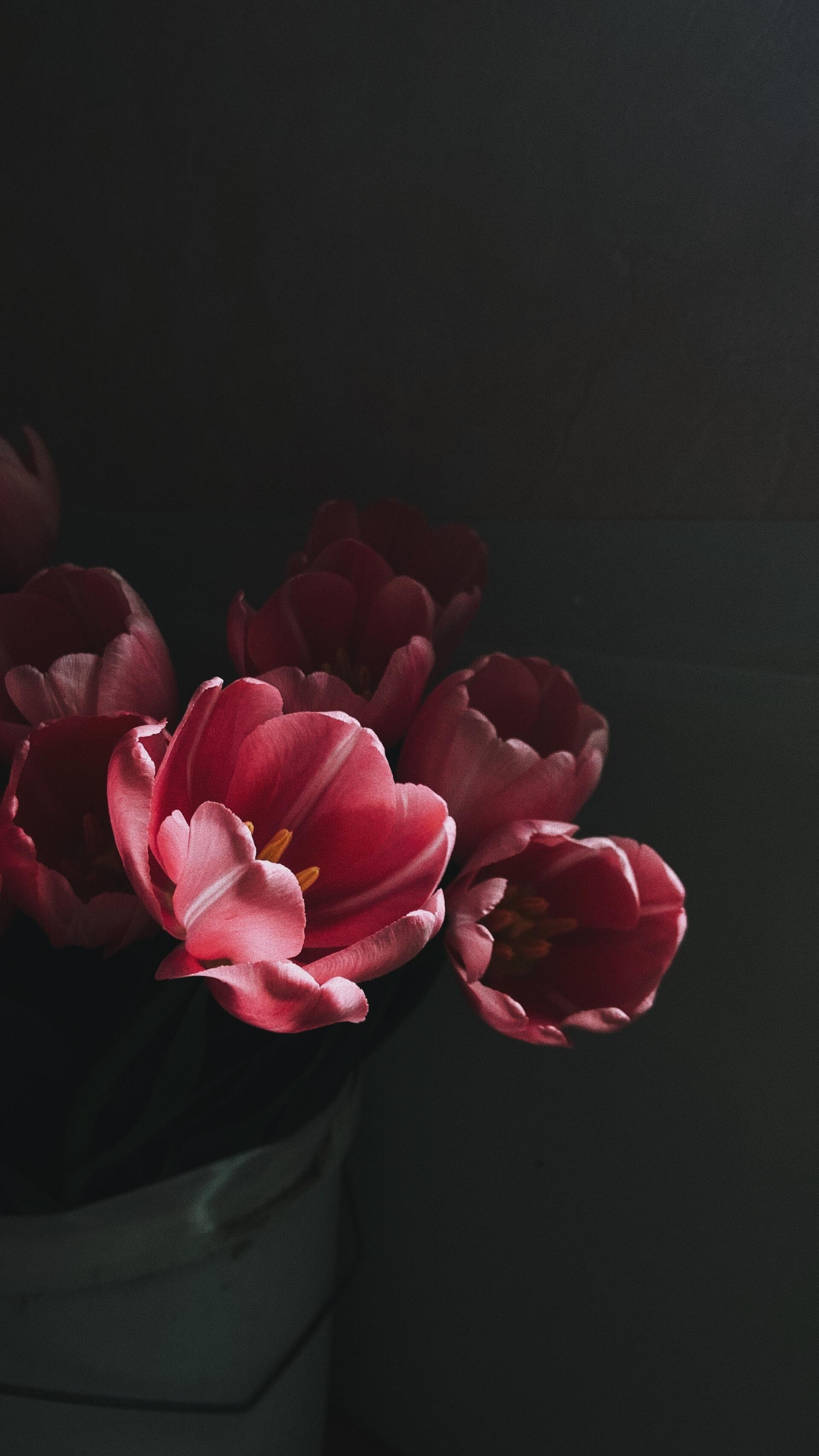 sorcellerie magie noire naggy