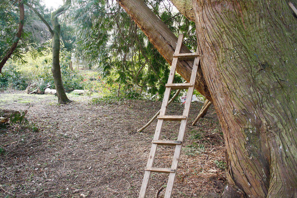 Garten Horn-Lehe