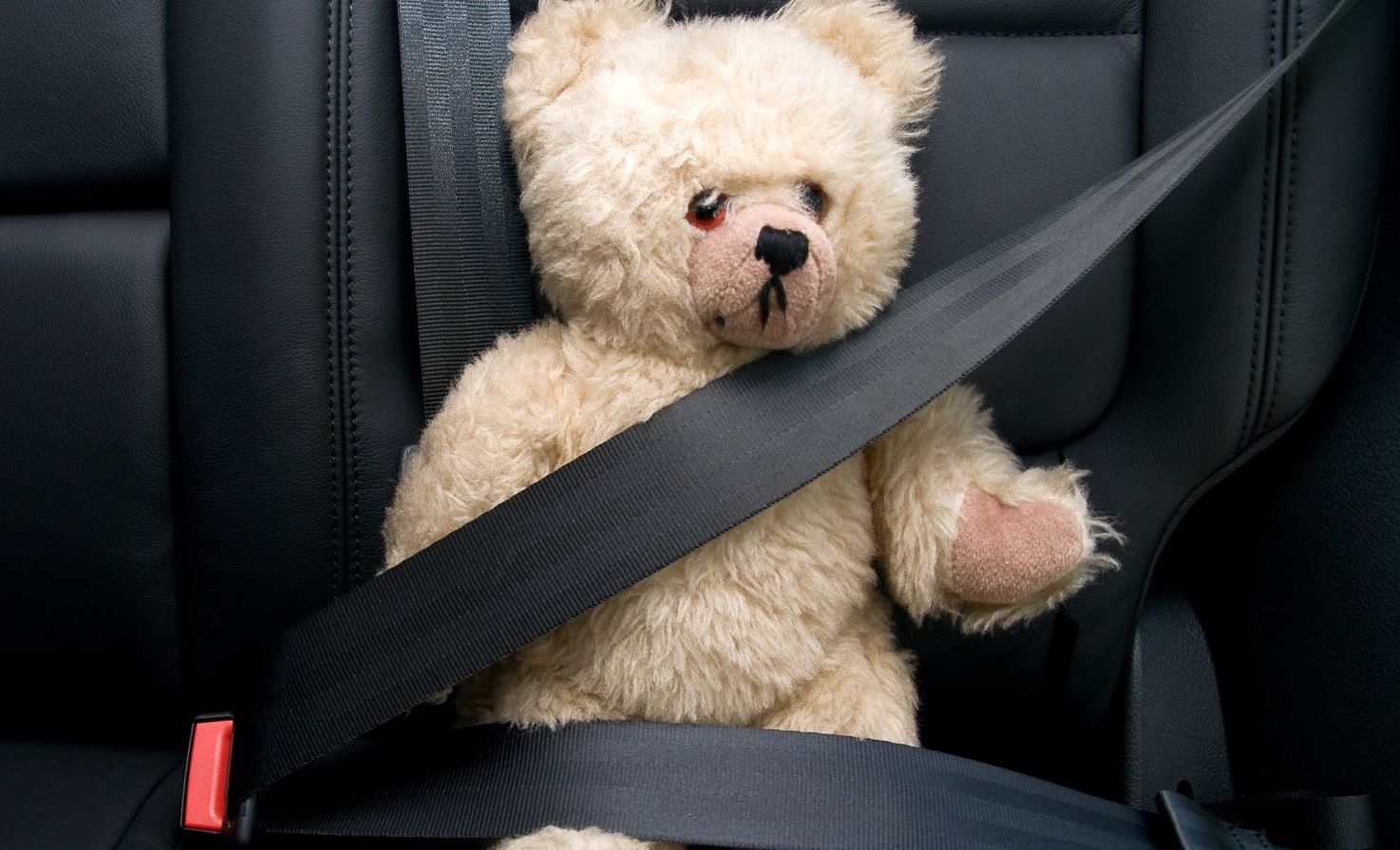Täddybär im Auto mit Sicherheitsgurt Täddybär im Auto mit Sicherheitsgurt