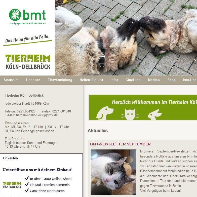 tierheim-koeln-dellbrueck.bmtev.de BMT Tierschutz Tierheim Köln Dellbrück. Mit bester Empfehlung der fotogalerie⁴ von Gunar Matzick.