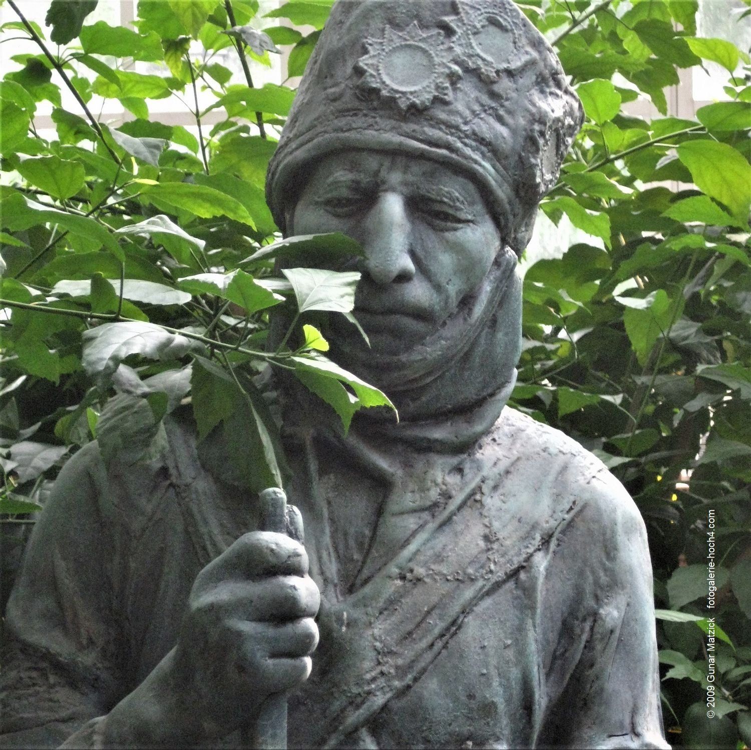 Schmetterlimng-Haus in Wien. Das Schmetterling-Haus in Wien. Ein Flattern durchflutet den Raum, der leichte Wind streift deine Nase. Geh´ nah dran, ganz, ganz nah und lass dich von der Detailvielfalt begeistern. Wundersam und geheimnisvoll zugleich. Wien, Österreich.