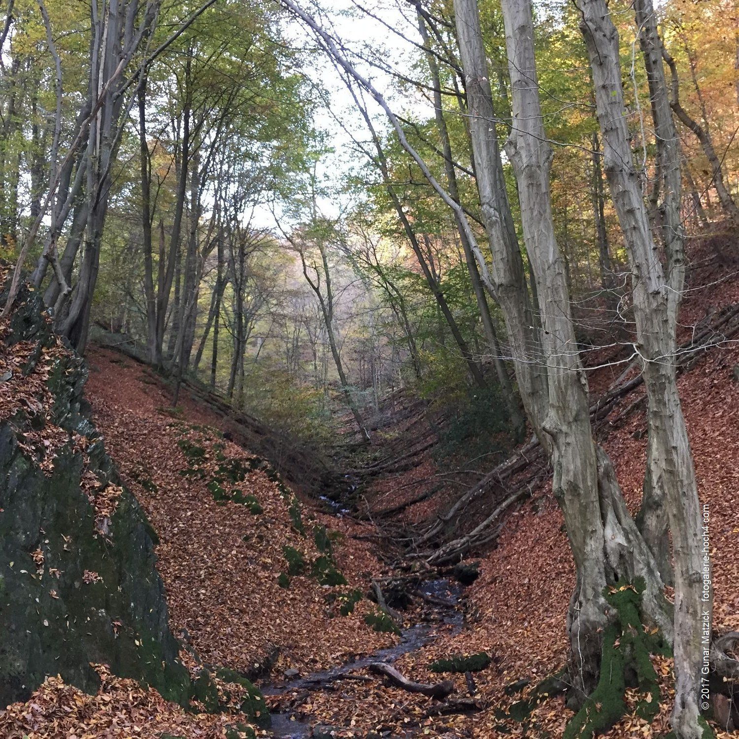 Die romantsiche Jahreszeit beginnt. Herbst. Freuen wir uns auf die gemütlichen Abende daheim, bei Tee und Kerzenschein. Müngstener Brücke, Solingen, NRW, Deutschland.