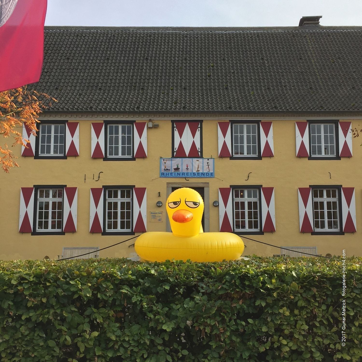 Hier gibt es Gesammeltes. Eine Schwimmente, einfach so. Was für ein herrlicher Spätsommertag in Zons, mit Kaffee, Waffeln, Sahne und heißen Kirschen. Blickfang Plastikente: