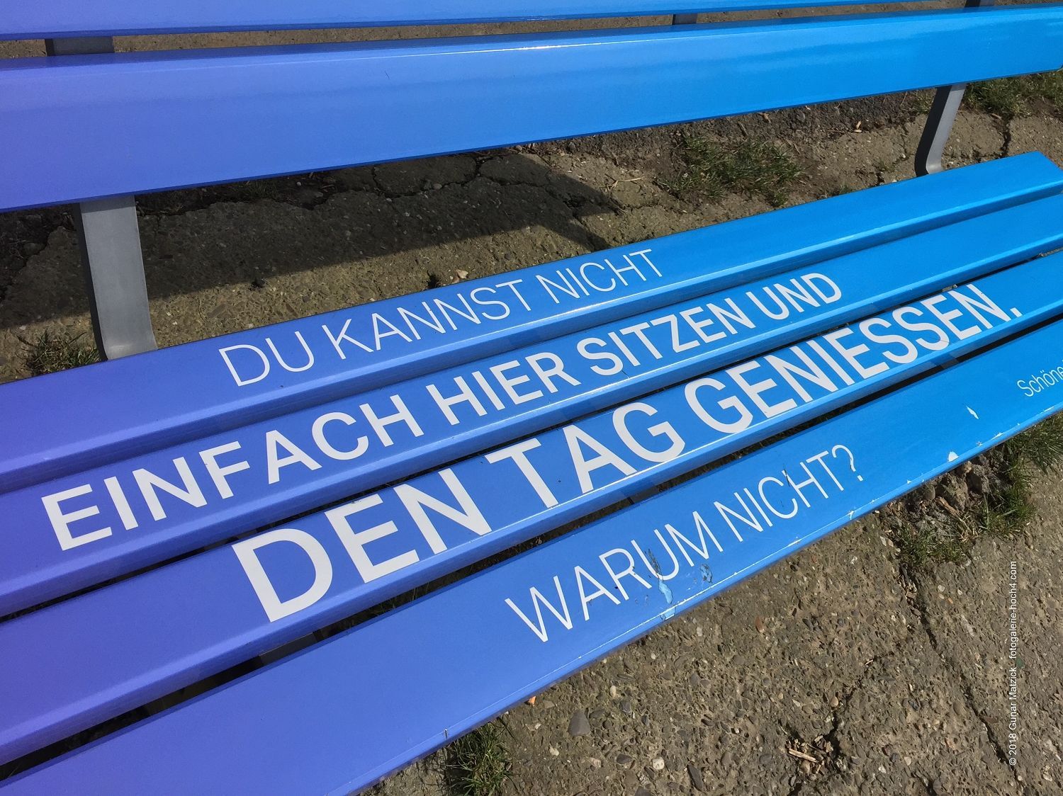 Parkbank am Rhein Optische Täuschung? Die eigene Vorstellungskraft setzt unzählige Gedanken frei. Schleswig, Deutschland.