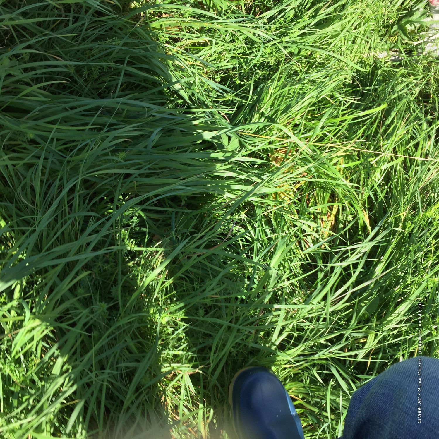 Outtakes. So nicht wirklich gewollt. Die eher zufälligen, ungewollten Fotos. Meine ganz persönlichen Rätsel: Was war wann und wo? Viele Dinge sind so eindeutig, andere allerdings in Vergessenheit geraten und jetzt wiederbelebt. Irgendwo und irgendwann.
