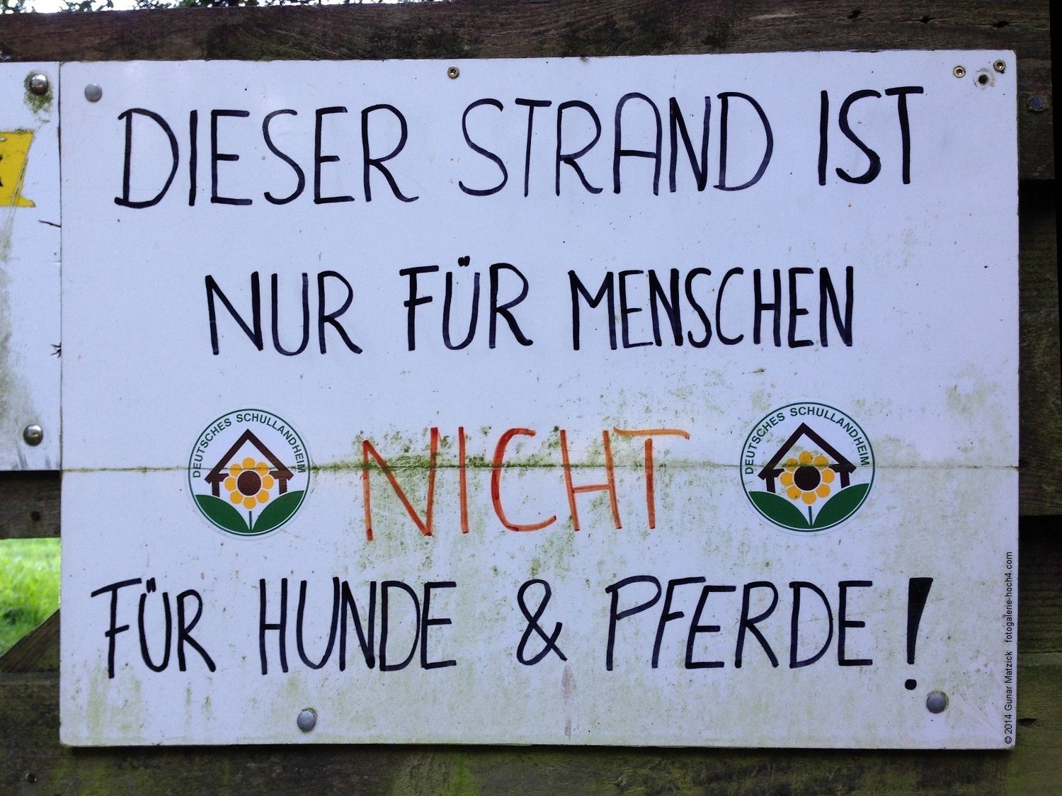 Mensch bleiben. Ausschluss oder Platzverweis. Hunde und Pferde leider nicht erwünscht. Was ist da bloß schiefgelaufen?