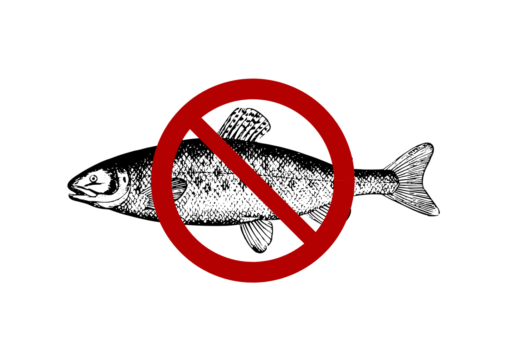 Why Vegans Don't Eat Fish