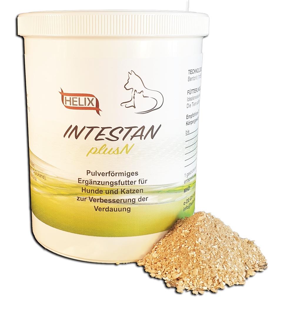 Pferd, Zink, Nukleotide, Helix