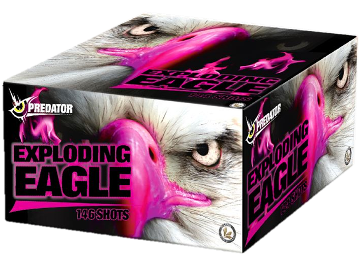 Lesli Exploding Eagle